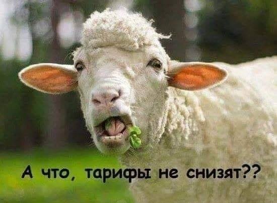 eoqetnrw8aalrfs