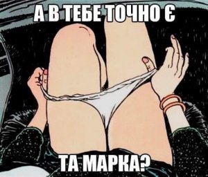 fq7zbkvx0aa3cu8