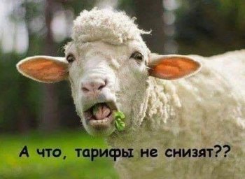 eoqetnrw8aalrfs